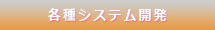 システム開発